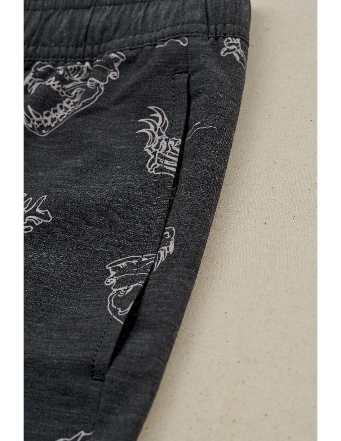 Bermuda Globe Dion Agius Poolshort Black