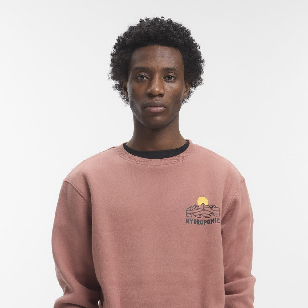 Sudadera Hydroponic Nature Terracota